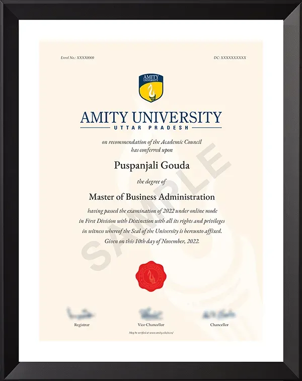amity online mba customer